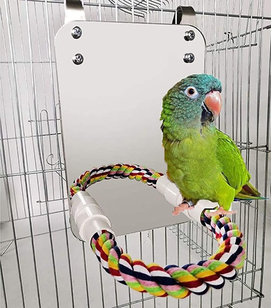 Lintupeililelu köysitelineellä Ahven sopii papukaijalle, papukaijalle, Conure afrikkalaiselle harmaalle papukaijalle, Amazonin papukaijalle, budgielle, kanarialintuhäkille (L) hinta ja tiedot | Koiran lelut | hobbyhall.fi