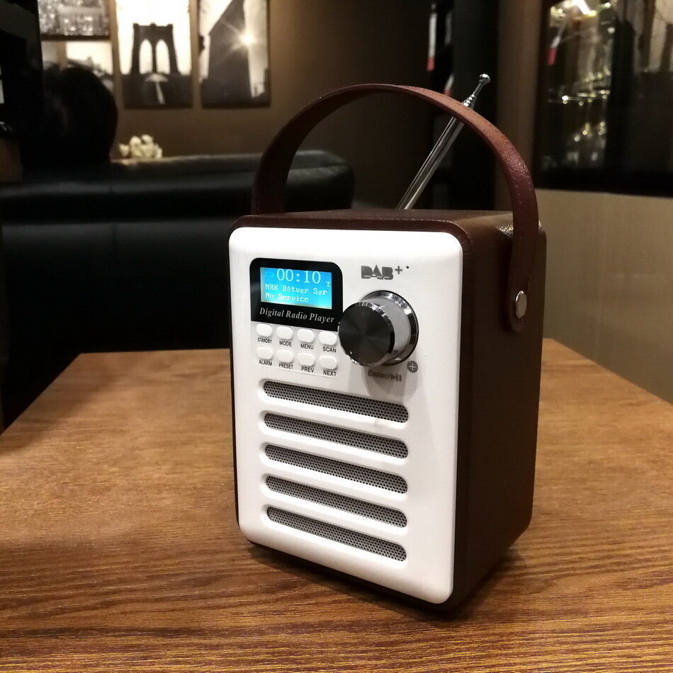 Retro Puinen Kotelotarra Dab Digitaalinen Radio Bluetooth-Kaiuttimella, Tf Card U Disk Mp3-Soitin hinta ja tiedot | Kelloradiot ja herätyskellot | hobbyhall.fi