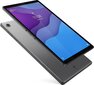 LENOVO TAB M10 TB-X306X 10/64GB tabeltti hinta ja tiedot | Tabletit | hobbyhall.fi