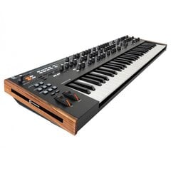 Novation Summit 16-osainen polyfoninen syntezatori hinta ja tiedot | Kosketinsoittimet | hobbyhall.fi