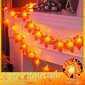 Halloween koristeet Syksy seppele, Syksy Vaahteranlehti Fairy Light 3m 20 LED, Syksy seppele, Syksy, Kiitospäivä, Joulu, Ulkokoristeet hinta ja tiedot | Juhlakoristeet | hobbyhall.fi