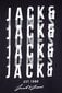 T-paita Jack &amp; Jones 12247813BLACK-XL hinta ja tiedot | Miesten T-paidat | hobbyhall.fi