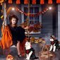 Lemmikin halloweenasu, vampyyri, L hinta ja tiedot | Koiran vaatteet | hobbyhall.fi