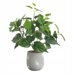 TAIDEKASVI REALISTISESSA LAMMESSA 38cm PHILODENDRON kotitoimistoon hinta ja tiedot | Keinotekoiset kukat | hobbyhall.fi