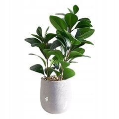 TAIDEKASVI REALISTISESSA LAMMESSA 38cm Ficus FIGOWIEC Kaunis hinta ja tiedot | Keinotekoiset kukat | hobbyhall.fi