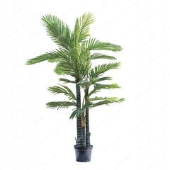 TAIDEKASVI RUUKUTETTU EGYOTIC PALM REALISTINEN LAMPI 200cm hinta ja tiedot | Keinotekoiset kukat | hobbyhall.fi