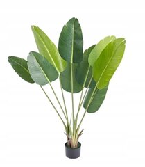 ARTIFICIAL PLANT PALMA Eksoottinen banaanikasvi realistisessa ruukussa 150cm hinta ja tiedot | Keinotekoiset kukat | hobbyhall.fi