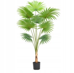 ARTIFICIAL FAN PALMA PLANT XXL REALISTINEN LAMPI 160cm hinta ja tiedot | Keinotekoiset kukat | hobbyhall.fi