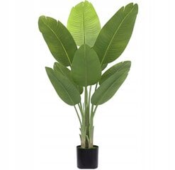 TAIDEKASVI PALMA Strelitzia RAJESA LINTUJA REALISTISESSA LAMMESSA 180cm hinta ja tiedot | Keinotekoiset kukat | hobbyhall.fi