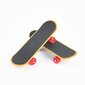 Parrot Intelligence Toys Parrot Skateboard Playing Toys hinta ja tiedot | Pehmolelut | hobbyhall.fi