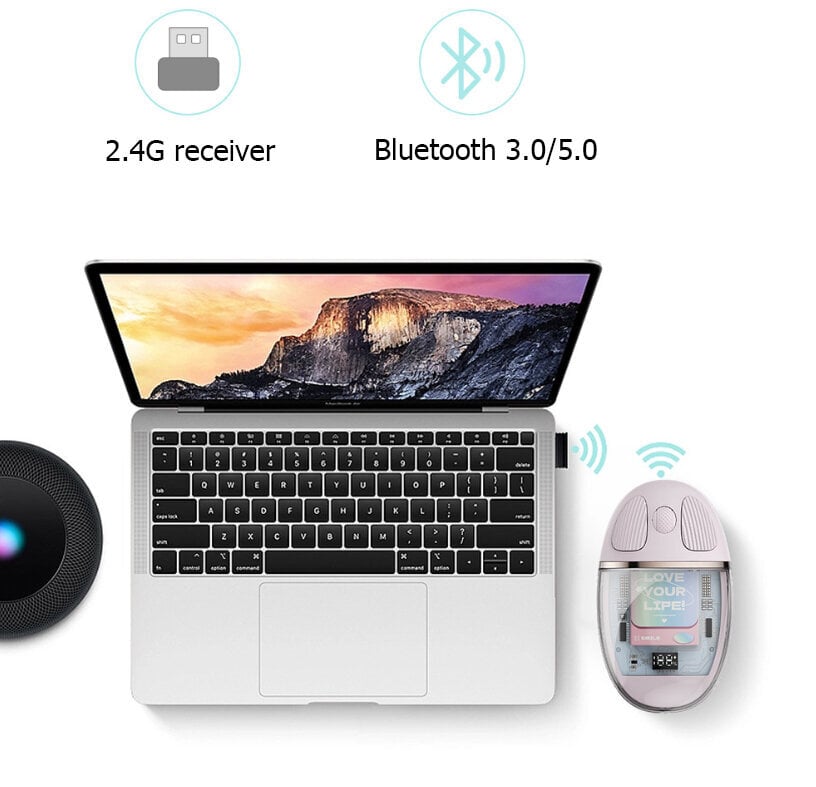 Bluetooth-hiiri, läpinäkyvä hiljainen hiiri USB-vastaanottimella Ladattava kannettava hiiri kannettavalle tietokoneelle, PC:lle, tabletille, 32,8 jalan lähetysalue hinta ja tiedot | Hiiret | hobbyhall.fi