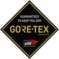 Ziener naisten alppihiihtohanskat Gore-Tex Kasia 801308-12 musta hinta ja tiedot | Naisten käsineet | hobbyhall.fi