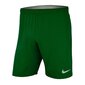 Miesten Nike shortsit, vihreät hinta ja tiedot | Miesten urheiluvaatteet | hobbyhall.fi