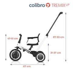 Kolmipyörä Colibro Tremix Up Magnetic hinta ja tiedot | Kolmipyörät | hobbyhall.fi