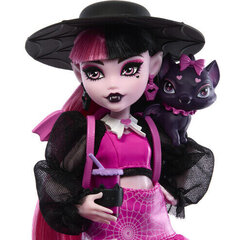 Nukke Monster High Core Draculaura hinta ja tiedot | Tyttöjen lelut | hobbyhall.fi