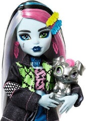 Nukke Monster High Core Frankie Stein hinta ja tiedot | Tyttöjen lelut | hobbyhall.fi