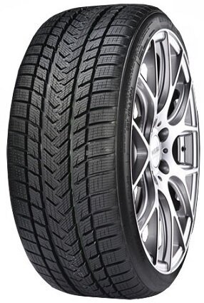 Gripmax STATUS PRO WINTER 255/40R19 100 V XL hinta ja tiedot | Talvirenkaat | hobbyhall.fi