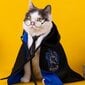 Koirakissa Halloween-asu, Harry Potter Pet Cape Halloween -sisustus hinta ja tiedot | Koiran vaatteet | hobbyhall.fi