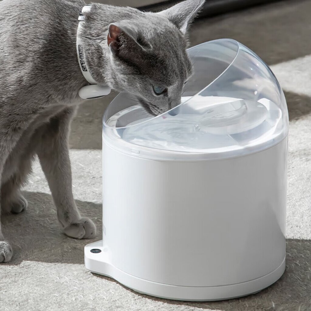 Lemmikki Sähkösuihkulähde Catlink PURE2 2.6L 30dB ABS hinta ja tiedot | Ruokakupit ja ruokintatarvikkeet | hobbyhall.fi