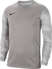 Miesten T-paita Nike Park IV GK CJ6066 052 CJ6066 052, harmaa hinta ja tiedot | Miesten T-paidat | hobbyhall.fi