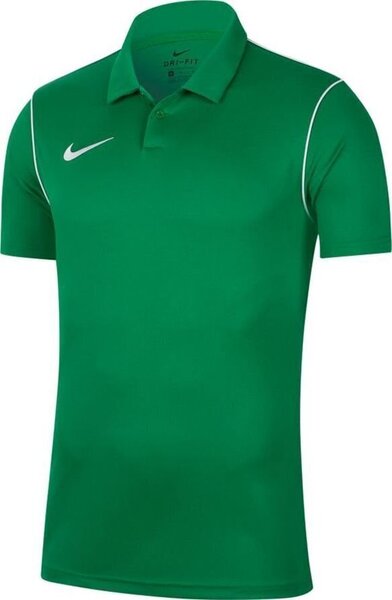 Miesten t-paita Nike Dri Fit Park 20 BV6879 302, vihreä.