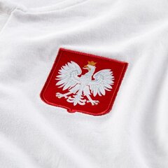 Miesten T-paita Nike Polska Modern Polo 102, valkoinen hinta ja tiedot | Miesten T-paidat | hobbyhall.fi