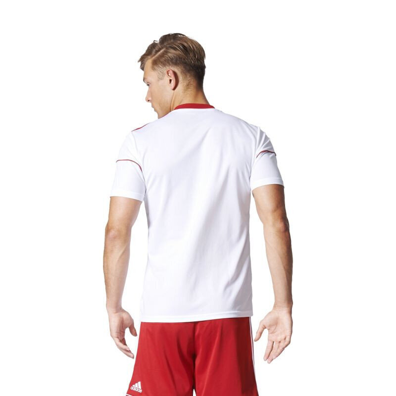 Miesten T-paita Adidas Squadra 17 M BJ9181, valkoinen hinta ja tiedot | Miesten T-paidat | hobbyhall.fi