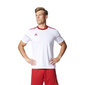 Miesten T-paita Adidas Squadra 17 M BJ9181, valkoinen hinta ja tiedot | Miesten T-paidat | hobbyhall.fi