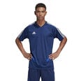 Miesten T-paita Adidas Tiro 19 TR JSY M DT5286, sininen