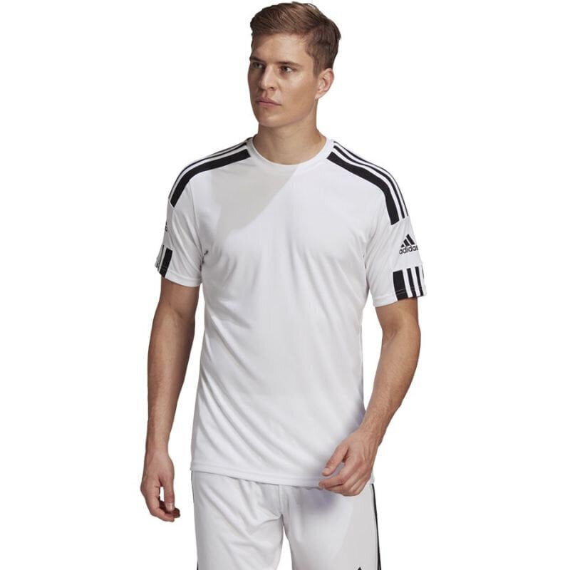 Miesten T-paita Adidas Squadra 21 JSY M GN5723, valkoinen hinta ja tiedot | Miesten T-paidat | hobbyhall.fi