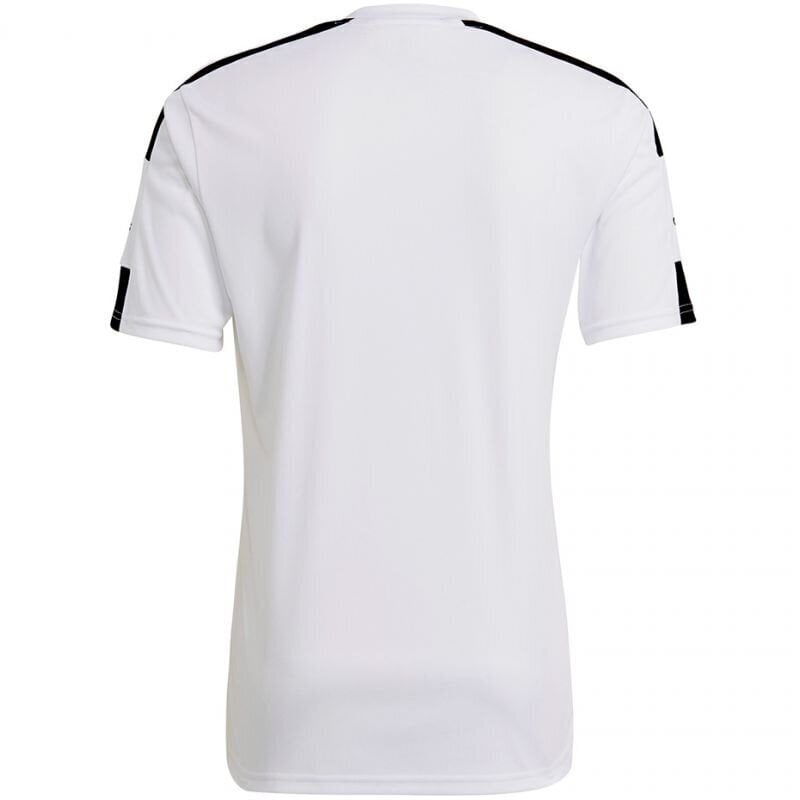 Miesten T-paita Adidas Squadra 21 JSY M GN5723, valkoinen hinta ja tiedot | Miesten T-paidat | hobbyhall.fi