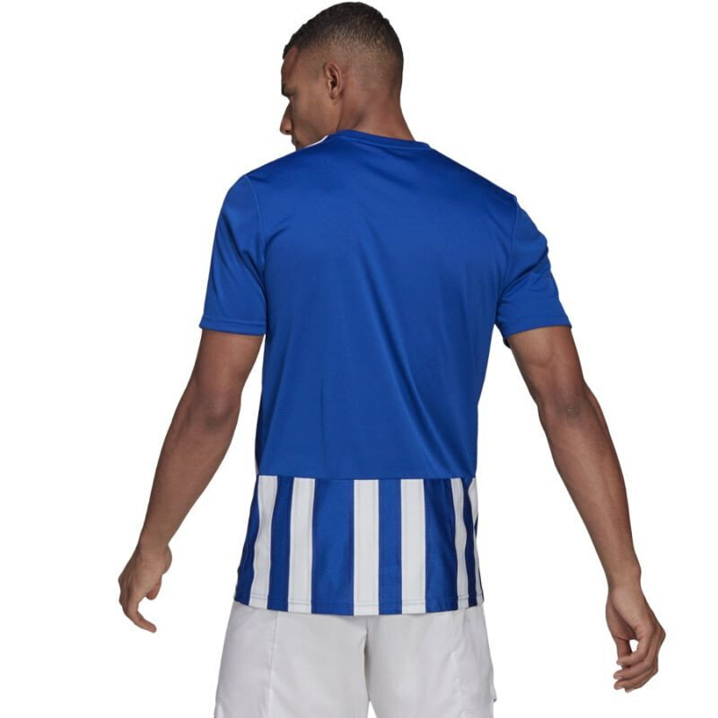 Miesten T-paita Adidas Striped 21 JSY M GH7321, sininen hinta ja tiedot | Miesten T-paidat | hobbyhall.fi