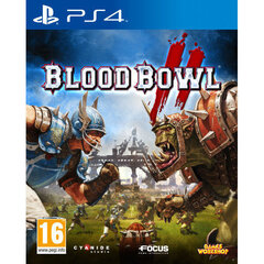 PlayStation 4 peli Blood Bowl 2 hinta ja tiedot | Tietokone- ja konsolipelit | hobbyhall.fi