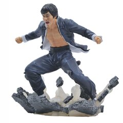 Diamond Select Bruce Lee Gallery Earth PVC hinta ja tiedot | Pelien oheistuotteet | hobbyhall.fi