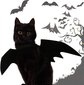 ISMARTEN Bat Wings -asu, pieni, musta huopa, koirille ja kissoille, halloween lemmikkivaatteet hinta ja tiedot | Pehmolelut | hobbyhall.fi