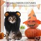 Kissan Halloween-asut - Musta Leijona Harja Peruukki Lemmikkipuvut Hattu Halloween Joulupukemiseen Asusteet Koriste kissanpennuille, koko S hinta ja tiedot | Pehmolelut | hobbyhall.fi