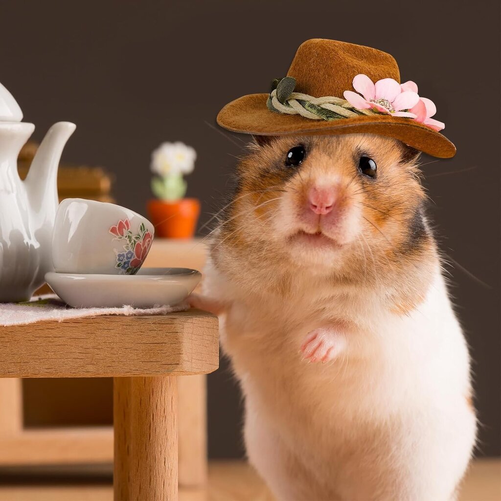 Whaline 3 kpl Pienet eläimet Hatut Hamsteri Kana Mini Cowboy Hatut Kukkien Lehdet Ruskeat Marsun hatut Huopa Pienet Söpöt Lemmikkien hatut Asusteet pienille lemmikkieläinjuhlille Vaatteet Tarvikkeet Valokuvaustarvikkeet hinta ja tiedot | Pehmolelut | hobbyhall.fi