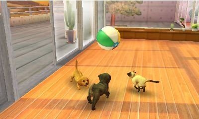 Nintendo 3DS Games peli Nintendogs+Cats: French Bulldog hinta ja tiedot | Tietokone- ja konsolipelit | hobbyhall.fi