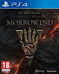 PlayStation 4 -peli The Elder Scrolls Online Morrowind hinta ja tiedot | Tietokone- ja konsolipelit | hobbyhall.fi