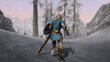 Nintendo Switch peli Elder Scrolls V: Skyrim hinta ja tiedot | Tietokone- ja konsolipelit | hobbyhall.fi