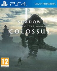 Shadow of the Colossus PS4 hinta ja tiedot | Tietokone- ja konsolipelit | hobbyhall.fi