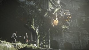 Shadow of the Colossus PS4 hinta ja tiedot | Sony Tietokoneet ja pelaaminen | hobbyhall.fi