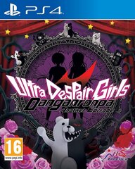 PlayStation 4 peli : Danganronpa Another Episode: Ultra Despair Girls hinta ja tiedot | Tietokone- ja konsolipelit | hobbyhall.fi
