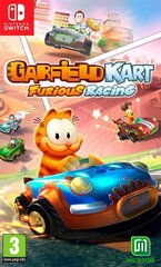 Nintendo Switch peli Garfield Kart Furious Racing hinta ja tiedot | Maximum Games Pelaaminen | hobbyhall.fi