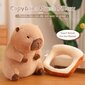 Suloinen Capybara Pehmo Kawaii Pehmeä Capybara Pehmo Nukke Tyyny Leivät Kapybara Täytetyt Aniamls Lelut Tytöille Lapsille Aikuiset 12 tuumaa hinta ja tiedot | Pehmolelut | hobbyhall.fi