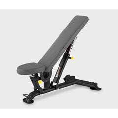 Harjoituspenkki BH FITNESS L825B hinta ja tiedot | Muut urheiluvälineet | hobbyhall.fi