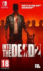 Nintendo Switch peli Into the Dead 2 hinta ja tiedot | Tietokone- ja konsolipelit | hobbyhall.fi