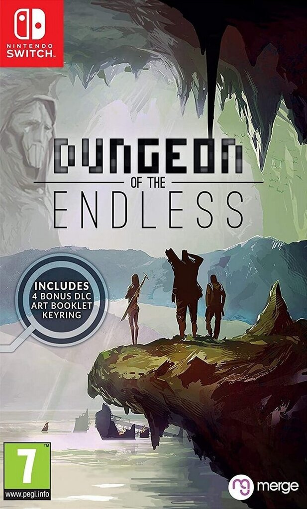 Nintendo Switch peli Dungeon of the Endless hinta ja tiedot | Tietokone- ja konsolipelit | hobbyhall.fi