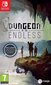 Nintendo Switch peli Dungeon of the Endless hinta ja tiedot | Tietokone- ja konsolipelit | hobbyhall.fi