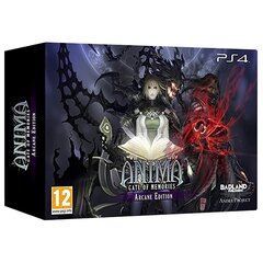 PlayStation 4 peli Anima: Gate of Memories Arcane Edition hinta ja tiedot | Badland Games Tietokoneet ja pelaaminen | hobbyhall.fi